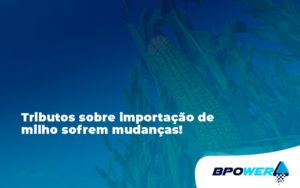 Tributos Sobre Importação De Milho Sofrem Mudanças! Bpower - BPOWER | BPO Financeiro